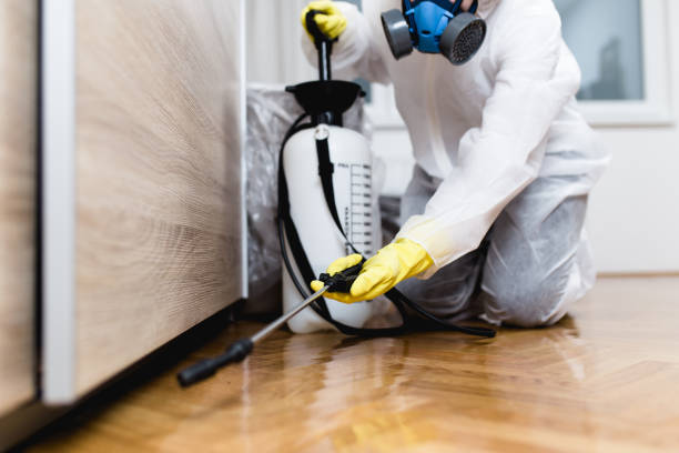 Best Termite Control Services  in Oceanport, NJ