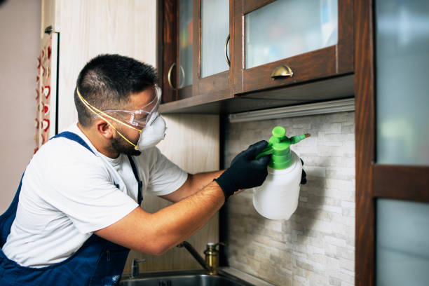 Best Commercial Pest Control Services  in Oceanport, NJ