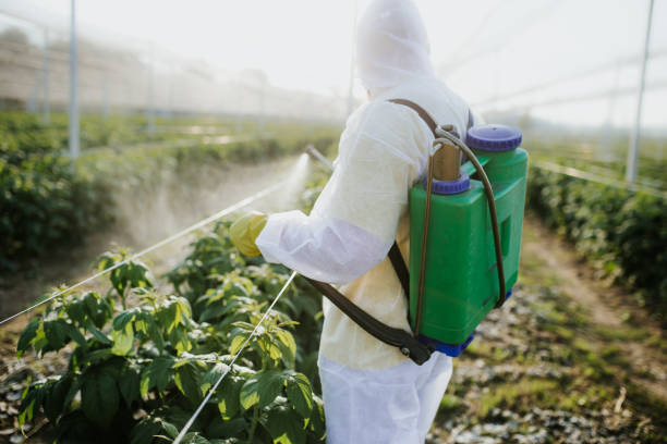 Wasp Removal Services in Oceanport, NJ